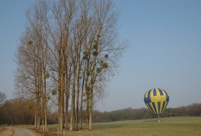 montgolfiere