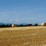 moissons001